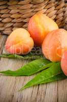 Apricots