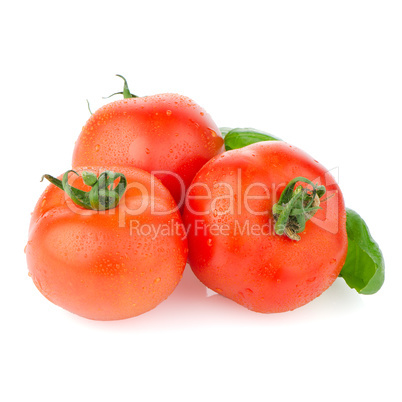 Red ripe tomato