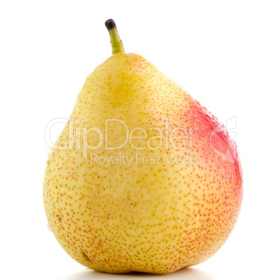 Single ripe pear