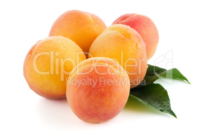 Sweet peaches with leafs