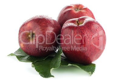 Ripe red apples