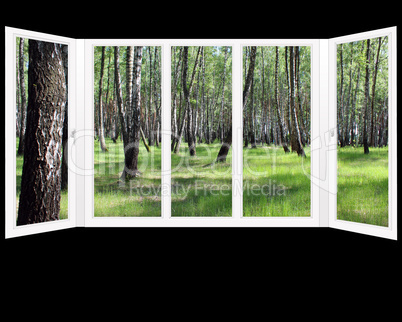 windows overlooking the grove in the spring isolated