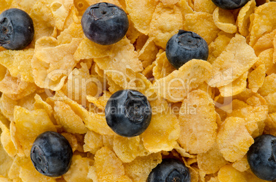 Cereal and blueberries