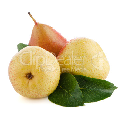 Three ripe pears