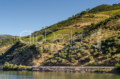 Douro Valley