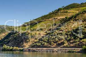 Douro Valley