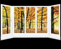 window overlooking the autumn park with yellow trees