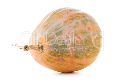 Calabash pumpkin