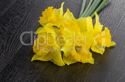 Yellow jonquil flowers