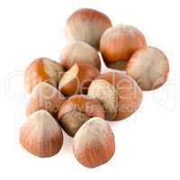 Fresh hazelnuts