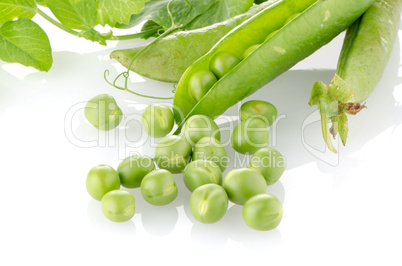 Fresh green pea pod