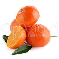 Tangerines