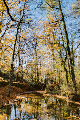 Autumn view of national park of geres