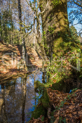 Autumn view of national park of geres