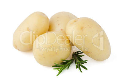 New potato and green parsley