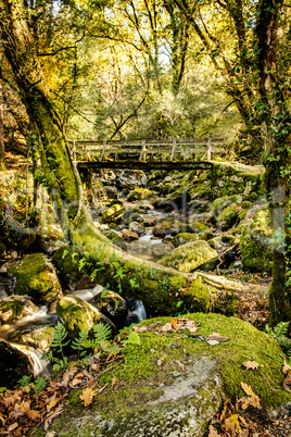 Waterfall in the portuguese national park of Geres