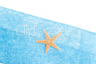 Sea star blue envelope