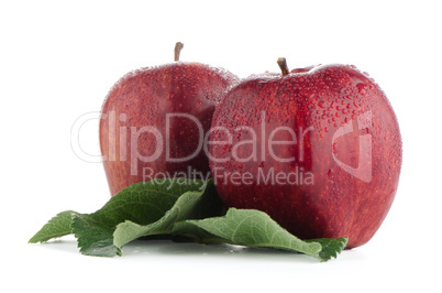 Ripe red apples