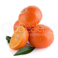 Tangerines