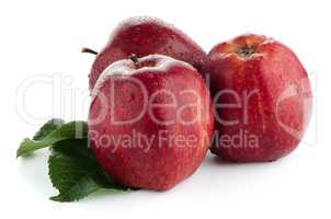 Ripe red apples