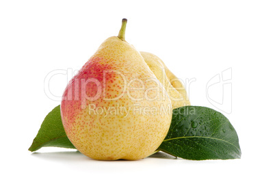 Two ripe pears