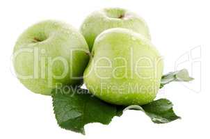 Three fresh green apples