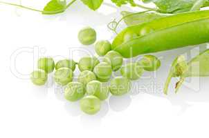 Fresh green pea pod