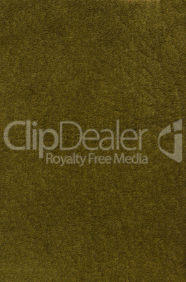 Green leather texture closeup