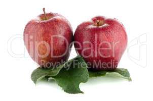 Ripe red apples