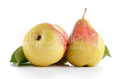 Three ripe pears