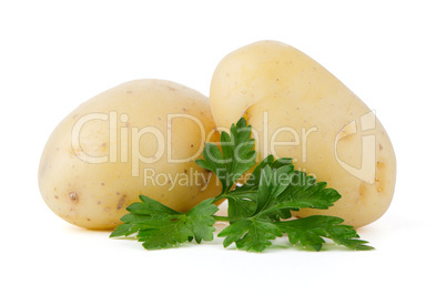 New potatoes and green parsley