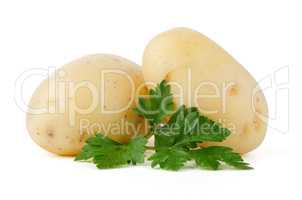 New potatoes and green parsley