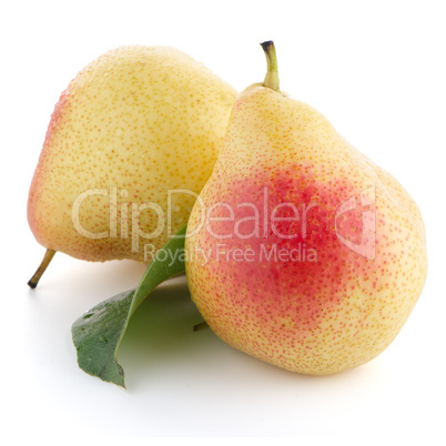 Two ripe pears