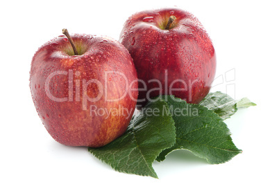 Ripe red apples