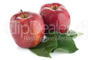 Ripe red apples