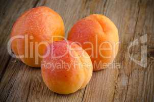 Apricots