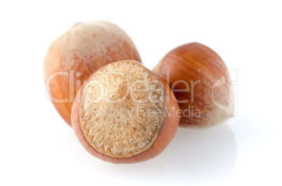 Fresh hazelnuts