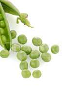 Fresh green pea pod