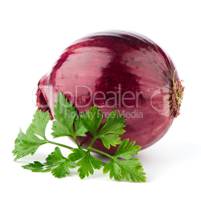 Red onion tuber and fresh parsley