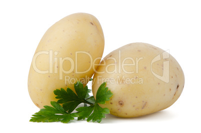 New potatoes and green parsley