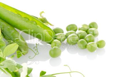 Fresh green pea pod