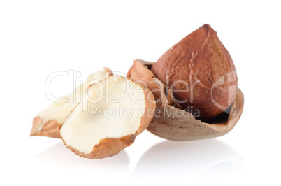 Tasty hazelnuts