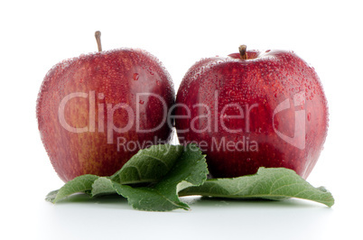 Ripe red apples