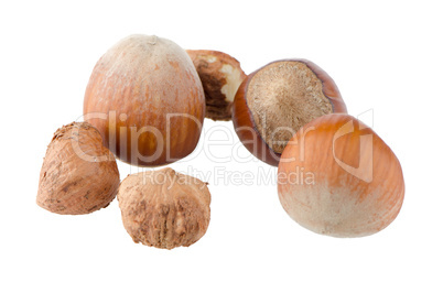 Tasty hazelnuts