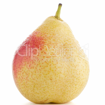 Single ripe pear