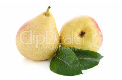 Two ripe pears