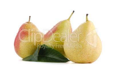 Three ripe pears