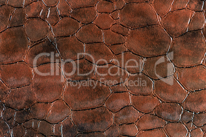 Brown leather texture closeup