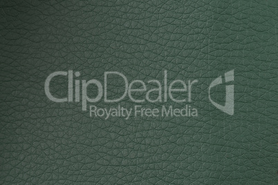 Green leather texture closeup