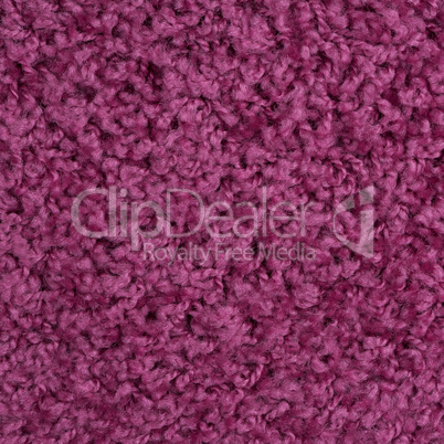 Purple carpet